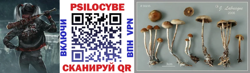 Галлюциногенные грибы мухоморы  Черепаново 